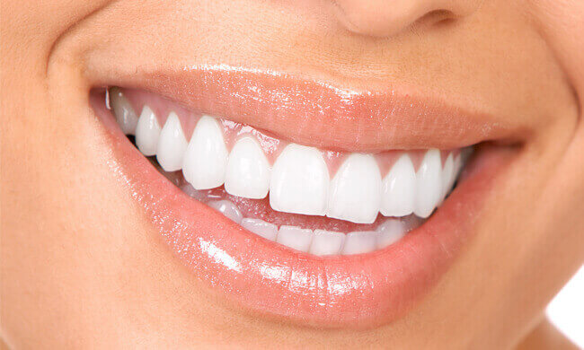 Copley Dental - Dental Information - Healthy Gums